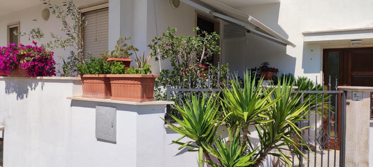 Apartament Dimora Nonna Angela Alberobello Zewnętrze zdjęcie